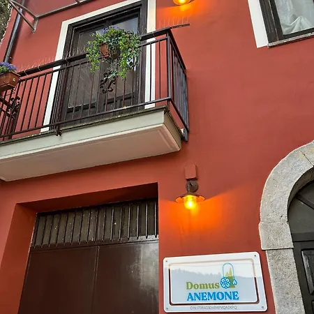 Domus Anemone Panzió 3*